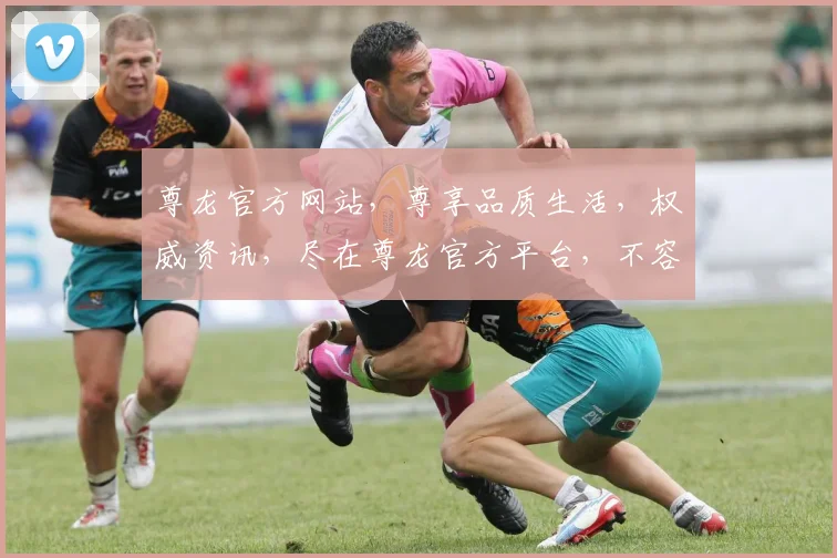 尊龙官方网站，尊享品质生活，权威资讯，尽在尊龙官方平台，不容错过